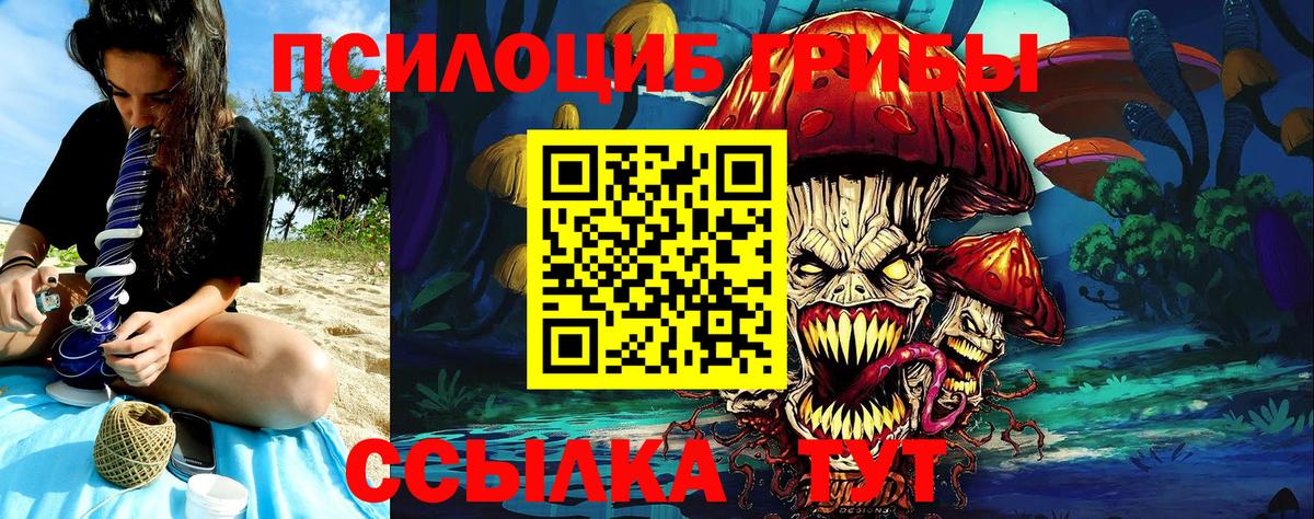Галлюциногенные грибы Psilocybine cubensis Полевской