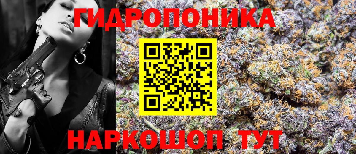 Бошки Шишки семена  Шишки марихуана ГИДРОПОН  Полевской  Каннабис Amnesia  Шишки марихуана марихуана  Вход с VPN 